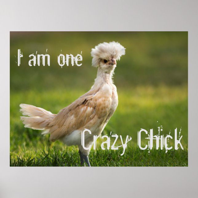 Crazy Chick Funny Poster (Front)