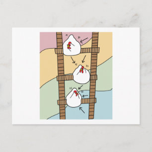 Crazy Chickens Funny Chicken Postcard