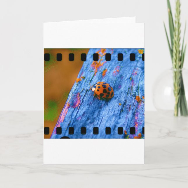 Crazy Colour Bug Card (Front)