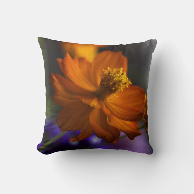 Crazy Cosmos Accent Pillow (Front)