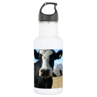 Crazy Cow 532 Ml Water Bottle
