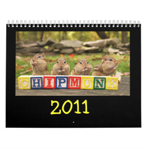 Crazy Cute Chipmunks 2011 Calendar