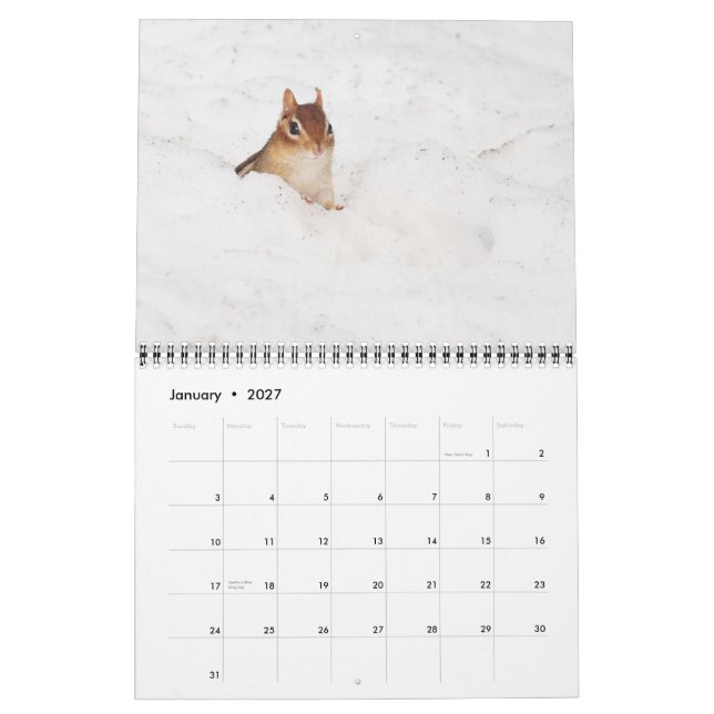 Crazy Cute Chipmunks 2015 Calendar (Jan 2027)