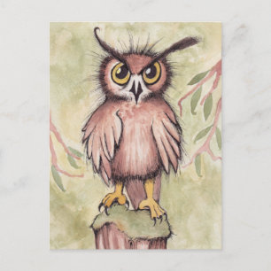 Crazy Cute Owl Postcard