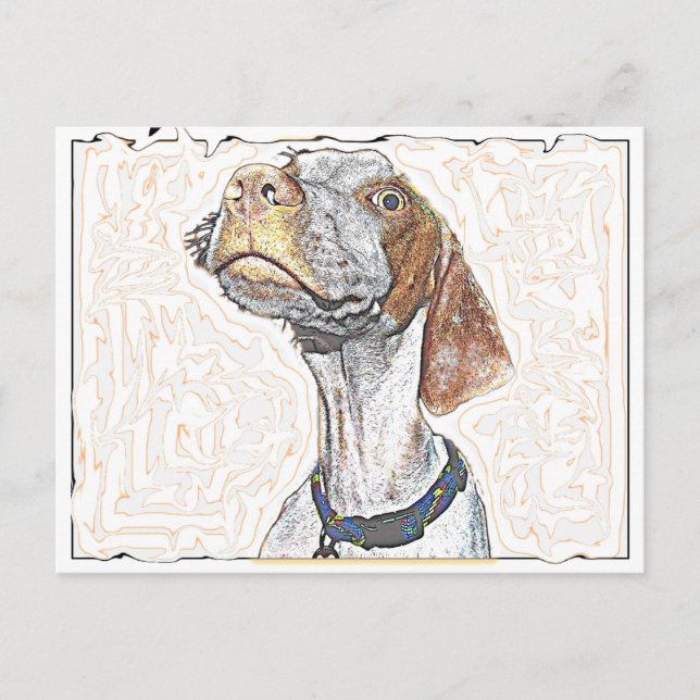 Crazy Eyes Postcard (Front)