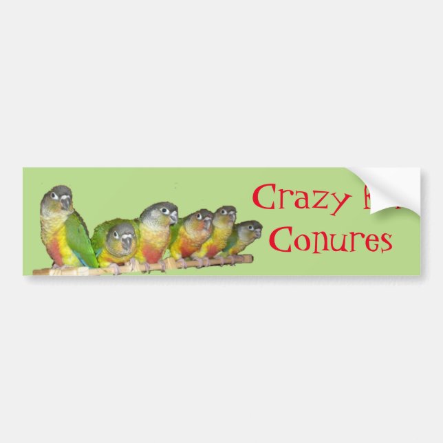 Crazy for Conures! Bumper Sticker (Front)