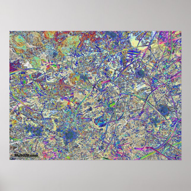 Crazy grass poster (Front)