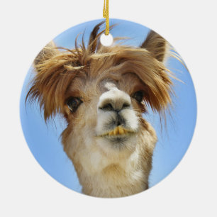 Crazy Hair Alpaca Ceramic Ornament