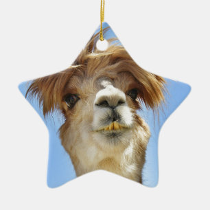 Crazy Hair Alpaca Ceramic Tree Decoration