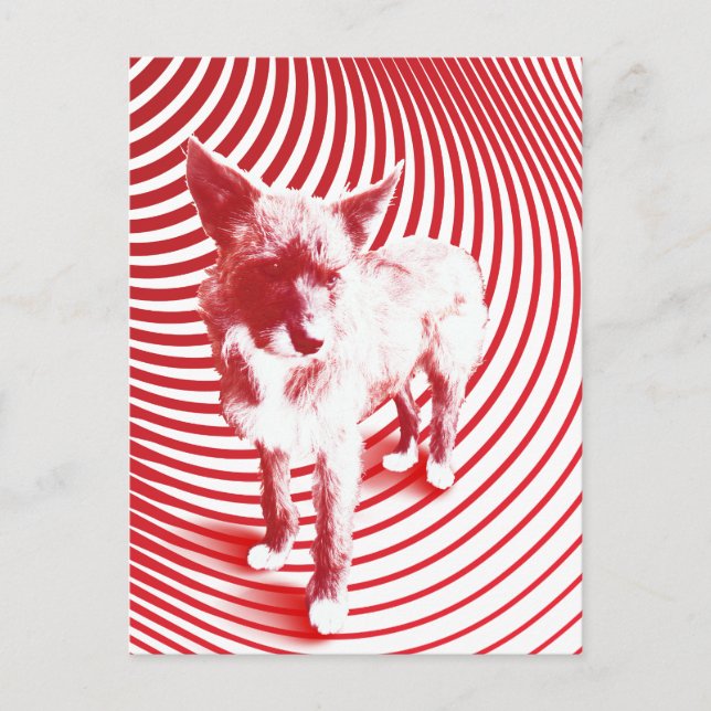 crazy hazie postcard (Front)