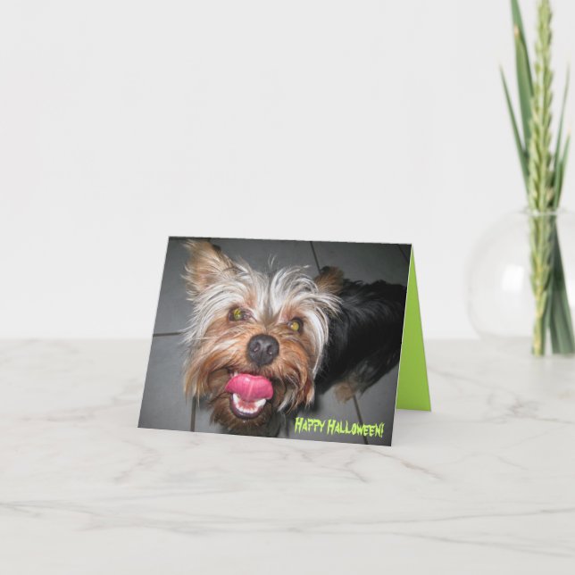 Crazy Jasper ~ Card (Front)