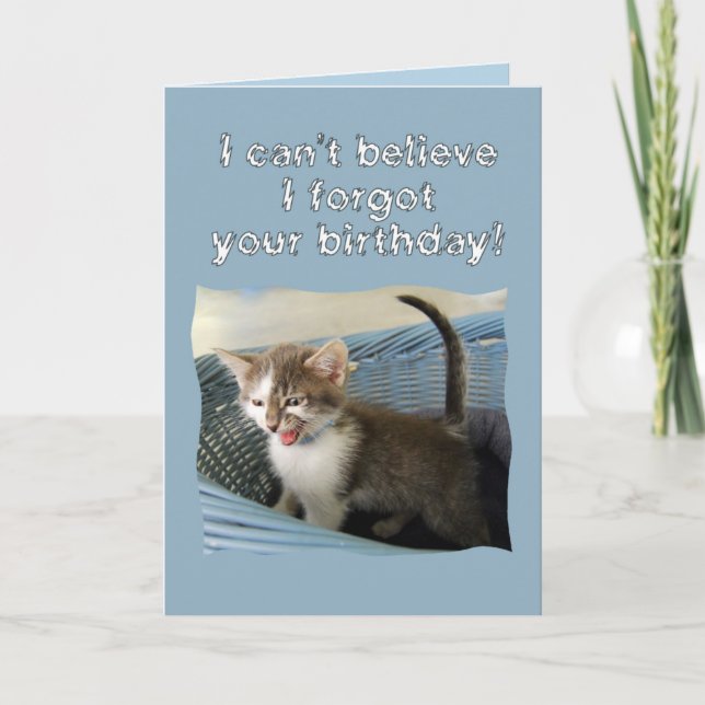 Crazy Kitten Belated Birthday Card (Front)