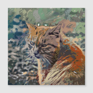 Crazy Paint - Cat 2