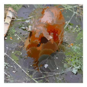 Crazy Paint - Guinea Pig Poster