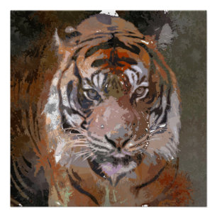 Crazy Paint - Tiger Poster