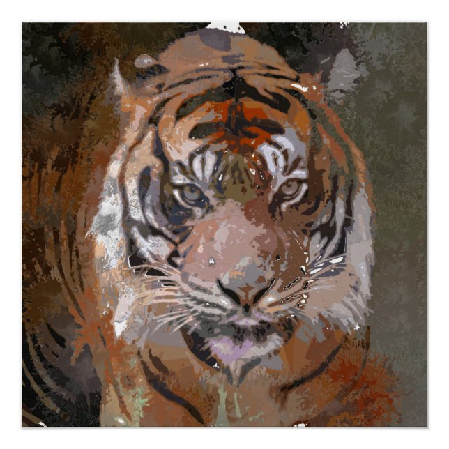 Crazy Paint -  Tiger Poster (Front)