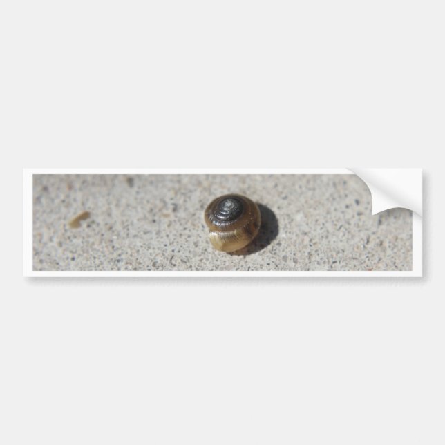 Crazy Snail Bumper Sticker (Front)