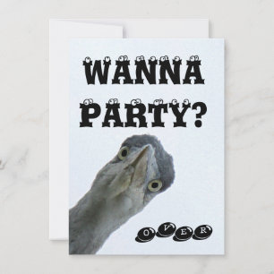 Crazy Wild Bird Party Invitation