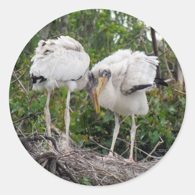 Crazy Wood Stork Stickers (Front)