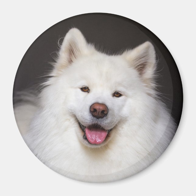 CRB Smiling Magnet (Front)