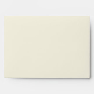 Cream and Blue Liner with Return Address Envelopes