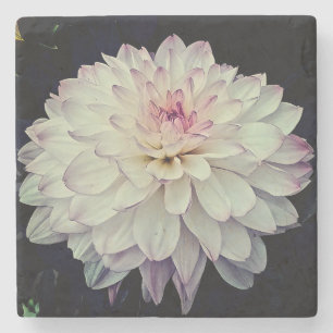 Cream and pink flower stone coaster