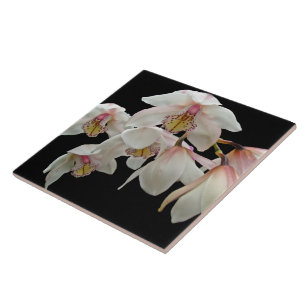 Cream and Pink Orchids on Black Ceramic Tile