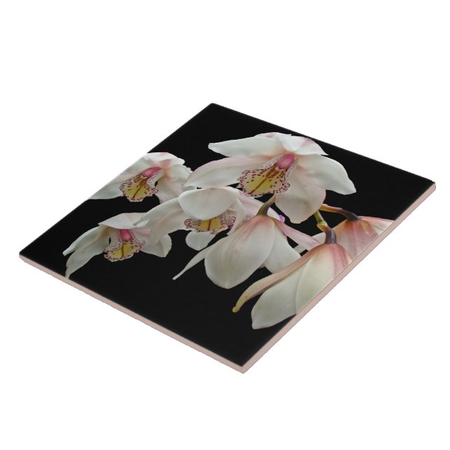 Cream and Pink Orchids on Black Ceramic Tile (Side)