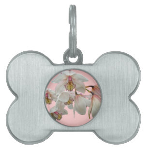 Cream and Pink Orchids Pet Tag