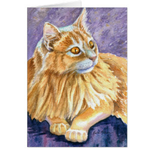 Cream Angora Cat
