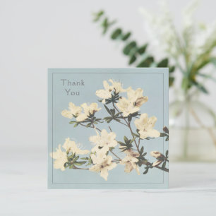 Cream Azalea Flowers Thank You Card