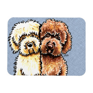 Cream Chocolate Labradoodles Magnet