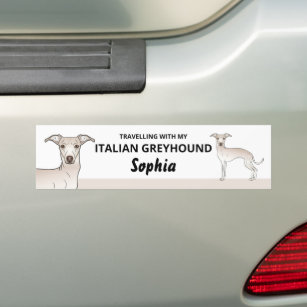 Cream Colour - Travelling With My Italian Greyhoun Bumper Sticker