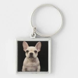 Cream coloured French Bulldog puppy Key Ring