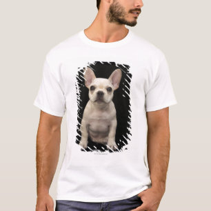Cream coloured French Bulldog puppy T-Shirt