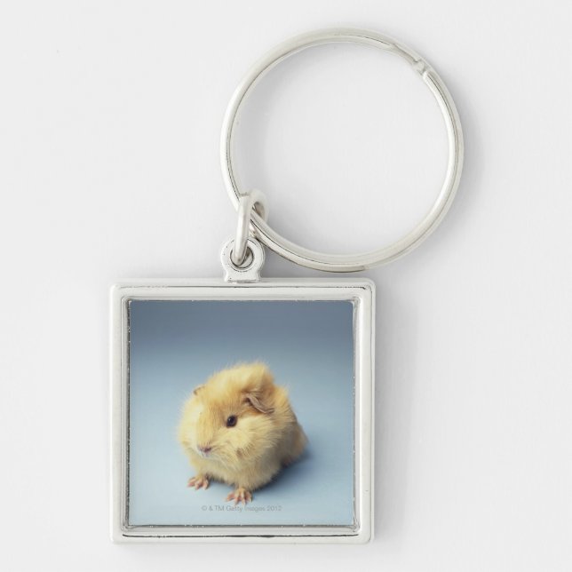Cream coloured Guinea pig Key Ring (Front)