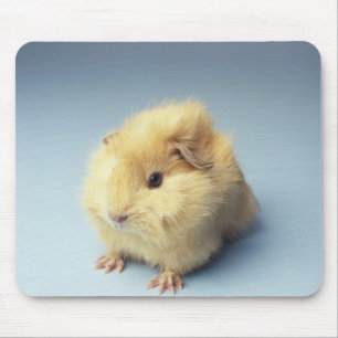 Cream coloured Guinea pig Mouse Pad
