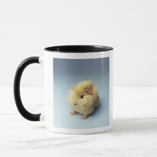 Cream coloured Guinea pig Mug