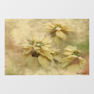 Cream Coloured Poinsettias Digital Art