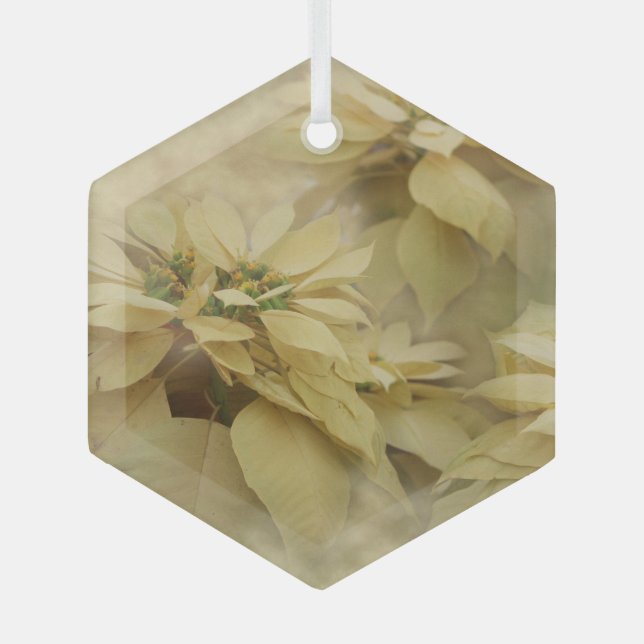 Cream Coloured Poinsettias Digital Art Glass Glass Tree Decoration (Front)
