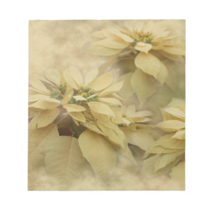 Cream Coloured Poinsettias Digital Art Notepad