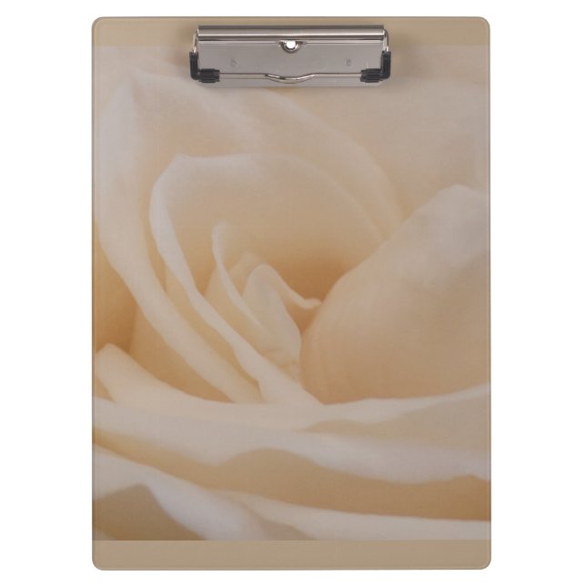Cream Coloured Rose Closeup Clipboard (Front)