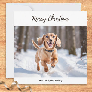 Cream Dachshund In Snow Dog Picture Chic Cute Holiday Card