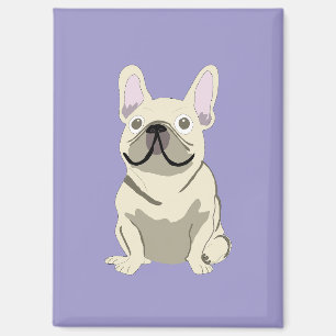 Cream French Bulldog, Magnet