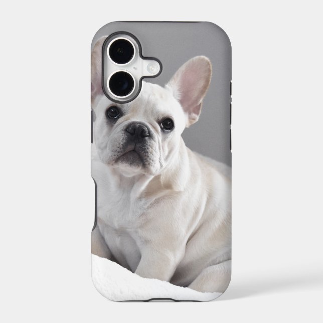 Cream Frenchie (Back)