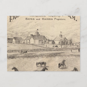 Cream Hill Stock Farm in Shoreham Vermont Postcard