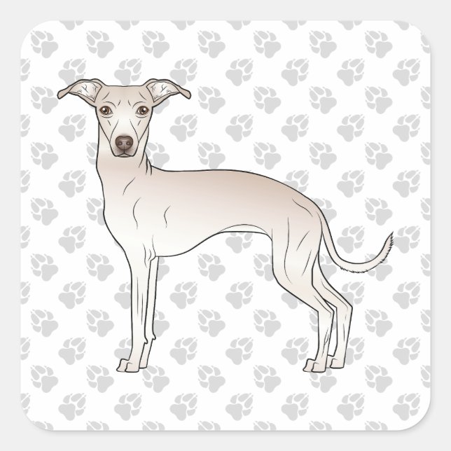 Cream Italian Greyhound Cute Cartoon Dog With Paws Square Sticker (Front)