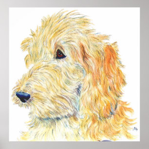 Cream Labradoodle #2 Print