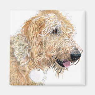 Cream Labradoodle Magnet