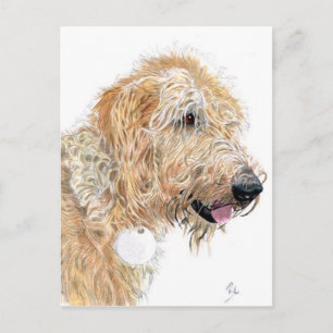 Cream Labradoodle Postcards